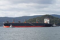 SILVA CONCORDIA — Bulk Carrier, Liberia flag, built 2021
