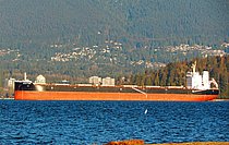 OCEAN PRIDE — Bulk Carrier, HONG KONG flag, built 2021