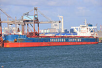 SHANDONG DEVELOPMENT — Bulk Carrier, Hong Kong, China flag, built 2022