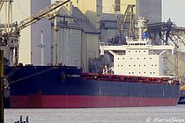 FJ CAMELIA — Bulk Carrier, Marshall Islands flag, built 2021