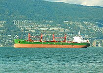 PAC ALCOR — Bulk Carrier, Hong Kong China flag, built 2021