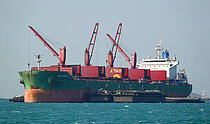 PAC ANKAA — Bulk Carrier, Hong Kong China flag, built 2021