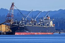 SIERRA GUARDIAN — Bulk Carrier, LIBERIA flag, built 2022