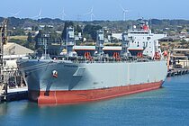 DYNAGREEN — Bulk Carrier, Japan flag, built 2022