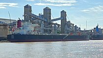 ROYAL — Bulk Carrier, Malta flag, built 2022
