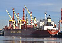 DARYA GOMTI — Bulk Carrier, Marshall Islands flag, built 2022