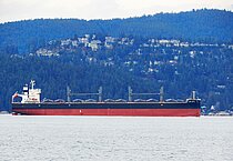 NEW JOYFUL — Bulk Carrier, Liberia flag, built 2022