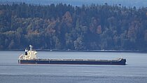 AQUARUBY — Bulk Carrier, Panama flag, built 2021