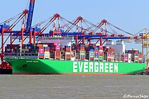 EVER MEGA — Container Ship, Singapore flag, built 2021