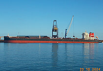 FORTE SAO MARCELO — Bulk Carrier, Brazil flag, built 2021