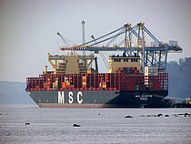 MSC JULIETTE — Container Ship, Liberia flag, built 2024