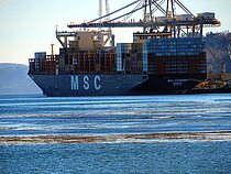 MSC VIVIENNE — Container Ship, LIBERIA flag, built 2023