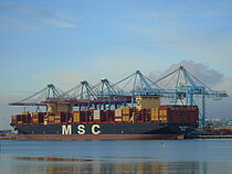 MSC ANITA — Container Ship, Liberia flag, built 2024