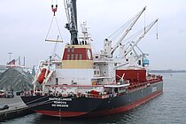 29 EKIM
