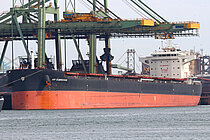 AP DUBROVNIK — Bulk Carrier, Malta flag, built 2023