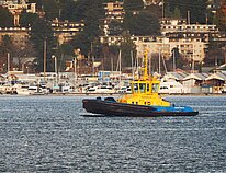 SAAM VOLTA — Tug, CANADA flag, built 2023