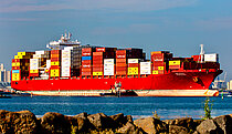 SEAGULL — Container Ship, LIBERIA flag, built 2024