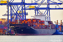 CONDOR — Container Ship, Liberia flag, built 2024