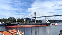 CENTURION GORYO — Bulk Carrier, Liberia flag, built 2024
