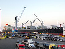 SAKURA TIGER — Bulk Carrier, PANAMA flag, built 2024