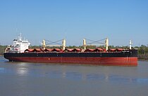 PACIFIC TULIP — Bulk Carrier, Republic of the Marshall Islands flag, built 2023