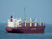 FRIDA BULKER