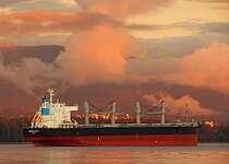 BARISM ALICE — Bulk Carrier, Panama flag, built 2023