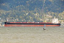 SHINE AGATE — Bulk Carrier, Liberia flag, built 2024