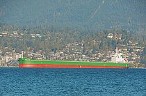 BUNGO STAR — Bulk Carrier, Panama flag, built 2025
