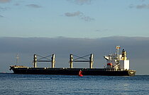 HARLEQUIN — Bulk Carrier, PANAMA flag, built 2023