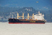 DARYA RANI — Bulk Carrier, Marshall Islands flag, built 2022