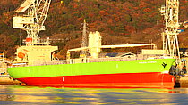 PRIMA VERDE — Bulk Carrier, LIBERIA flag, built 2025