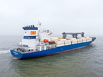 CAMEROUN EXPRESS — Container Ship, Singapore flag, built 2024