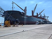 YM PINNACLE — Bulk Carrier, LIBERIA flag, built 2025