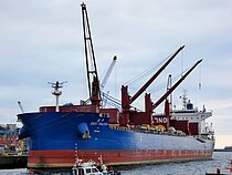 GREAT THALASSA — Bulk Carrier, Hong Kong China flag, built 2024