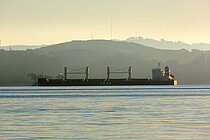 YASA CAMELLIA — Bulk Carrier, Marshall Islands flag, built 2025