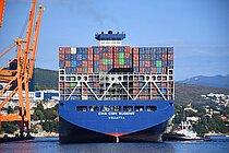 CMA CGM EUGENIE — Container Ship, Malta flag, built 2025