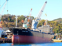 COSMO NOAH — General Cargo Ship, PANAMA flag, built 2024