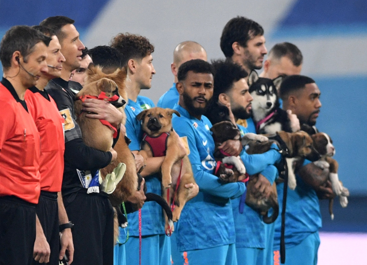 Take them home, Zenit fans! (©AFP)