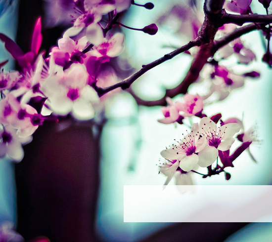 Frühling