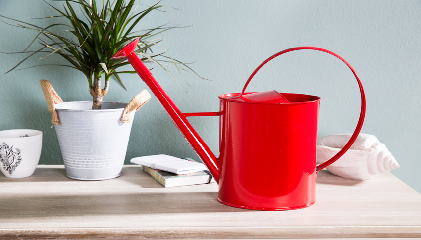 Gießkanne Zink in Rot