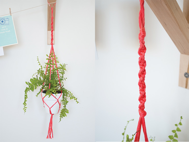 Floating Flowers - weißer Topf mit rotem Band