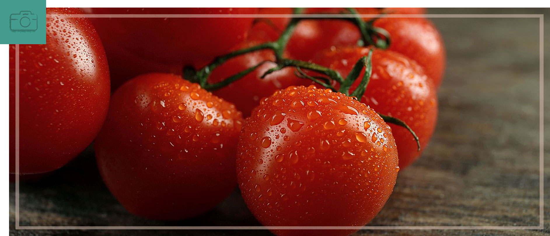Food_Photo_bnr_5_2