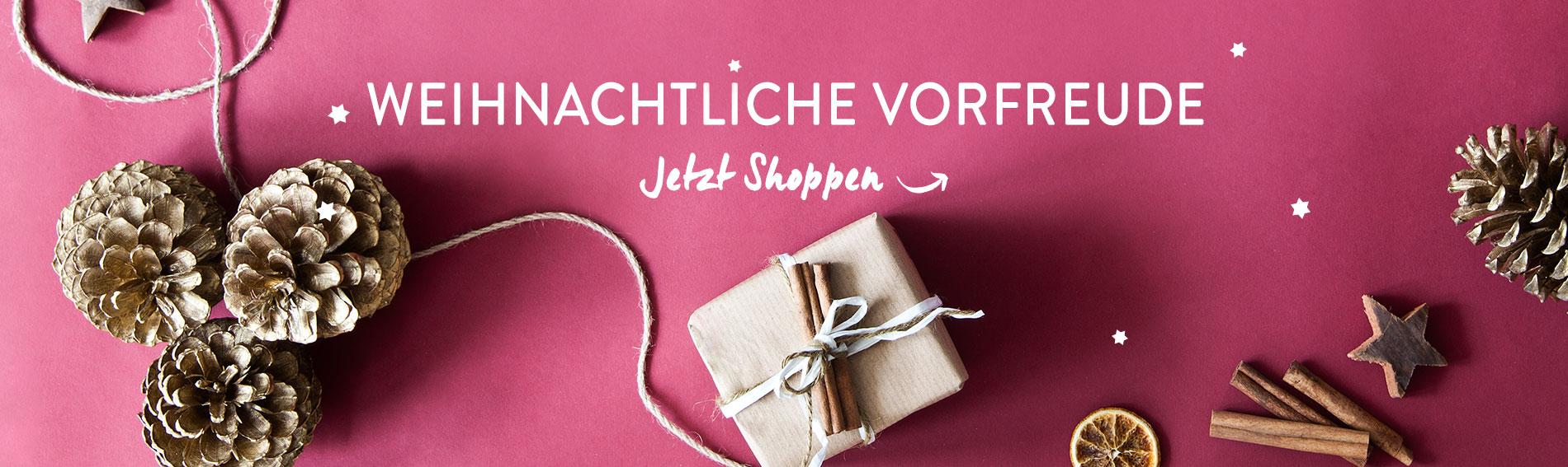 Christmas-HP_Sales-connection_DE