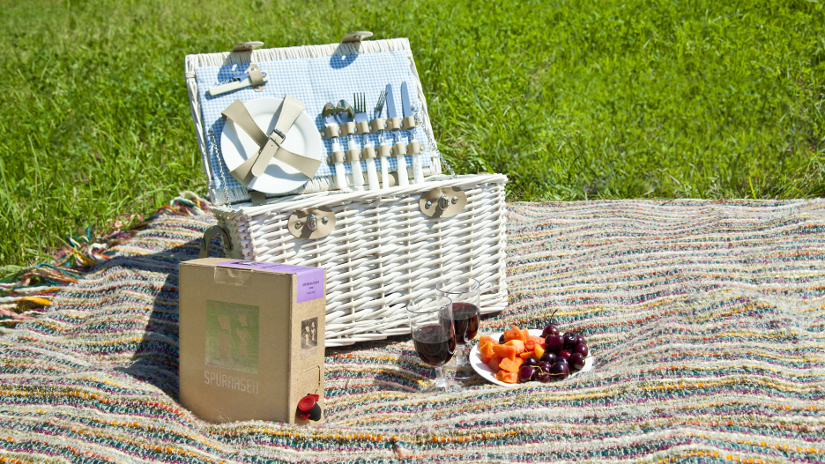 Picnic