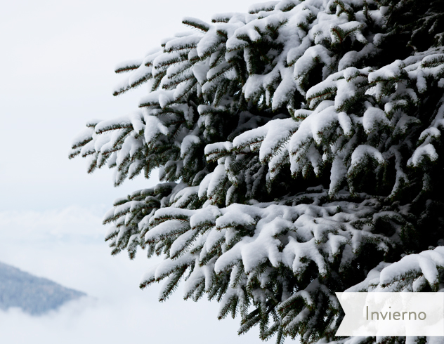 invierno