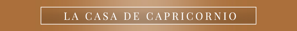 Capricorn_bnr_small_SPA