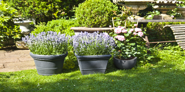 Maquinaria de jardinería