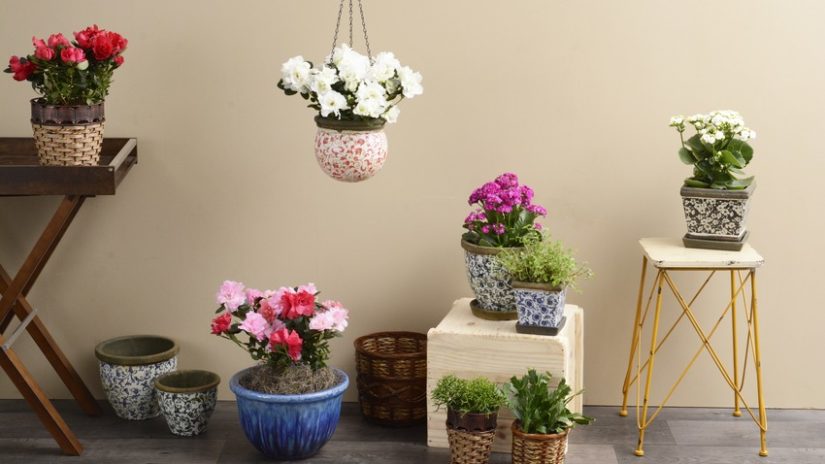 decoración de patios con flores