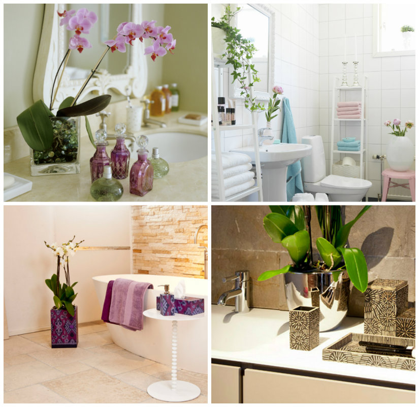 decoración de baños con plantas